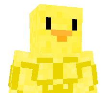 Salmonellae's skin