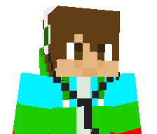 Cr4ft3d's skin