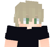 HomeZlice's skin