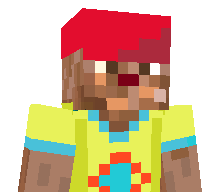 9L9P's skin
