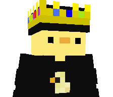 NotOfficial_duck's skin