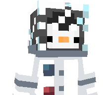 pengvn_'s skin