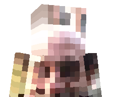xjipkipx's skin