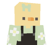 DucktectiveCZ's skin