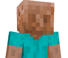 tinrinse's skin