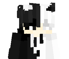 BaBaNWYL1's skin