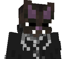 W5ffles's skin