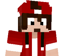 Litee_'s skin