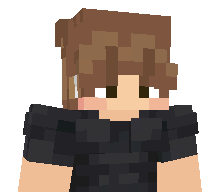 AyflyIsBack's skin