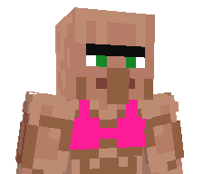 craftmaster293's skin