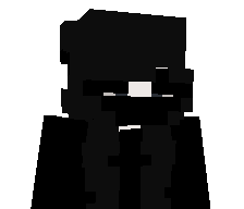 VixilzPlays's skin