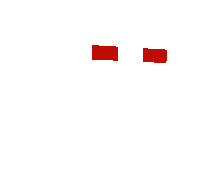 VOJAGE's skin