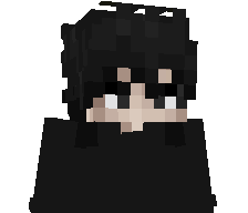 StopLie's skin