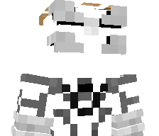 whdidgnl's skin