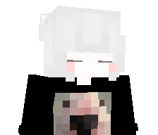 Swiwws's skin