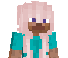 9027's skin