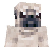 arcticsx's skin