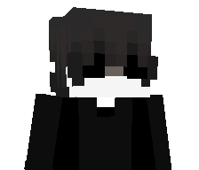 896w's skin