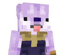 Stixk's skin