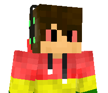 Sniki_Assassin's skin