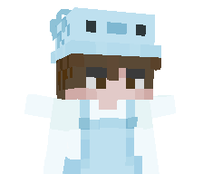 rust2x1's skin