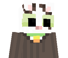 Steef_01's skin