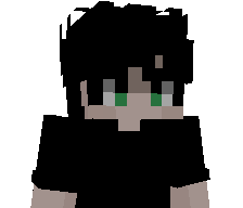 Zb10b's skin