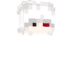 shankz_bnz's skin