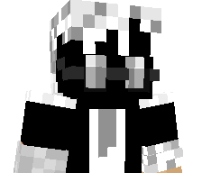 Zer1tiks's skin