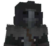 212COMMANDER's skin