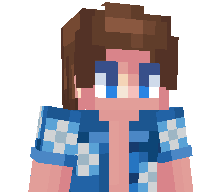 BrailTeq's skin