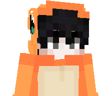 Steailth's skin