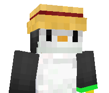 Itz_Penguin_X's skin