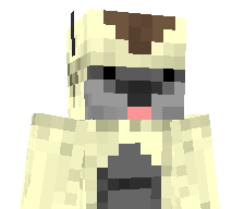 Justih's skin