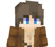 33KZ's skin