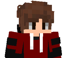 DAN1Z0's skin