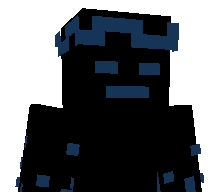XninjaninjaX's skin
