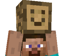 SlinkyWings4232's skin