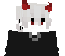 91LN's skin