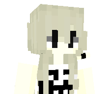 Hi1x1's skin