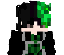 Directed_by_shao's skin