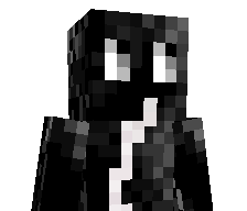 dragonkit2891381's skin
