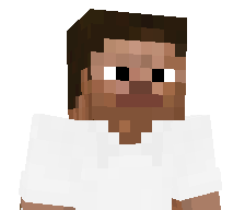 FreezingBlocks's skin
