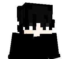 PIKLVSIAA's skin