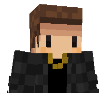 91Top1's skin