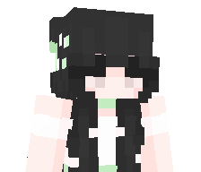 REVOLVINGDOOR's skin