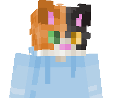 DomDom2's skin