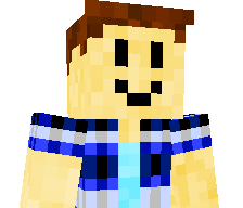 123P456V's skin