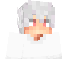 24x4's skin