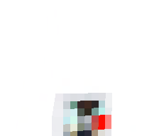 cogj's skin